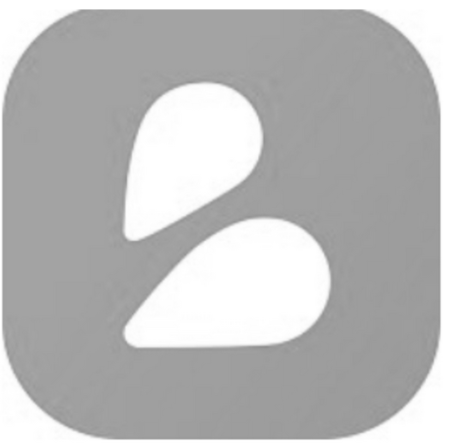 Bloom logo